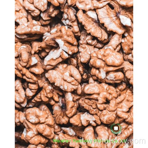 Kernel di noci cinesi dolci e croccanti leggeri ambra